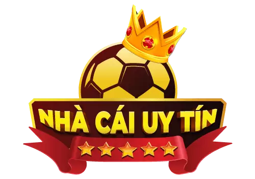VN6 Com